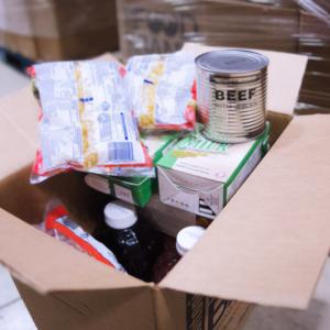 Food and Financial emergency relief March - June 2025